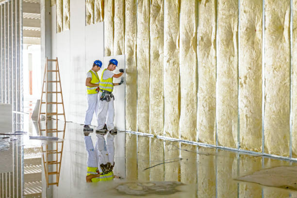 Types of Insulation We Offer in CA